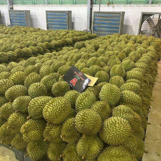 凭祥市越南金枕