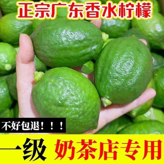 长沙广东香水柠檬