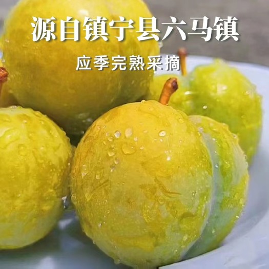 镇宁县源自贵州六马蜂糖李 脆甜如蜜 汁水充盈 人工挑选 果形匀称
