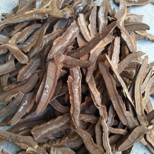 寻乌县江西产地直发白芯紫灵芝片黑灵芝片煲汤 煮茶味不苦