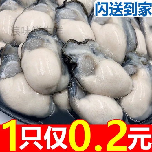 长沙【高品质】新鲜生蚝肉鲜活现剥去壳海鲜即食原浆海蛎子牡蛎肉包邮