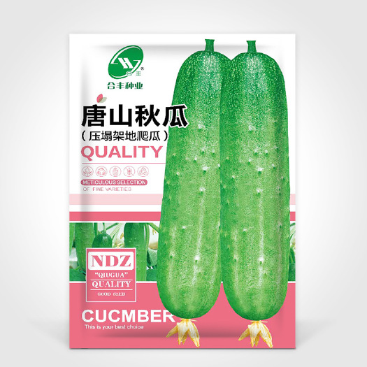 河间市唐山秋瓜种子不搭架农田菜园老品种耐旱黄瓜清香脆嫩水果黄瓜种子