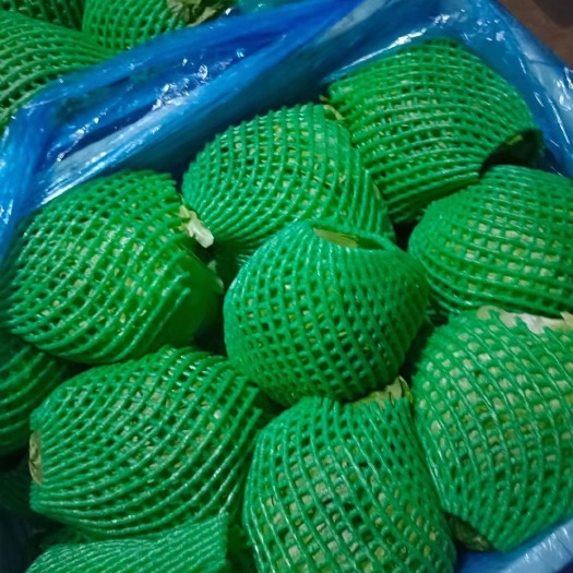 辛集市网套20*10套生菜，甘蓝。每包600个