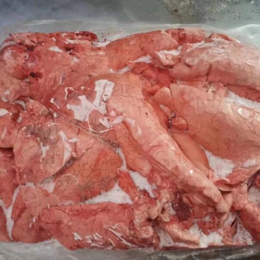 沂南县食用级猪肺30吨低于市场价