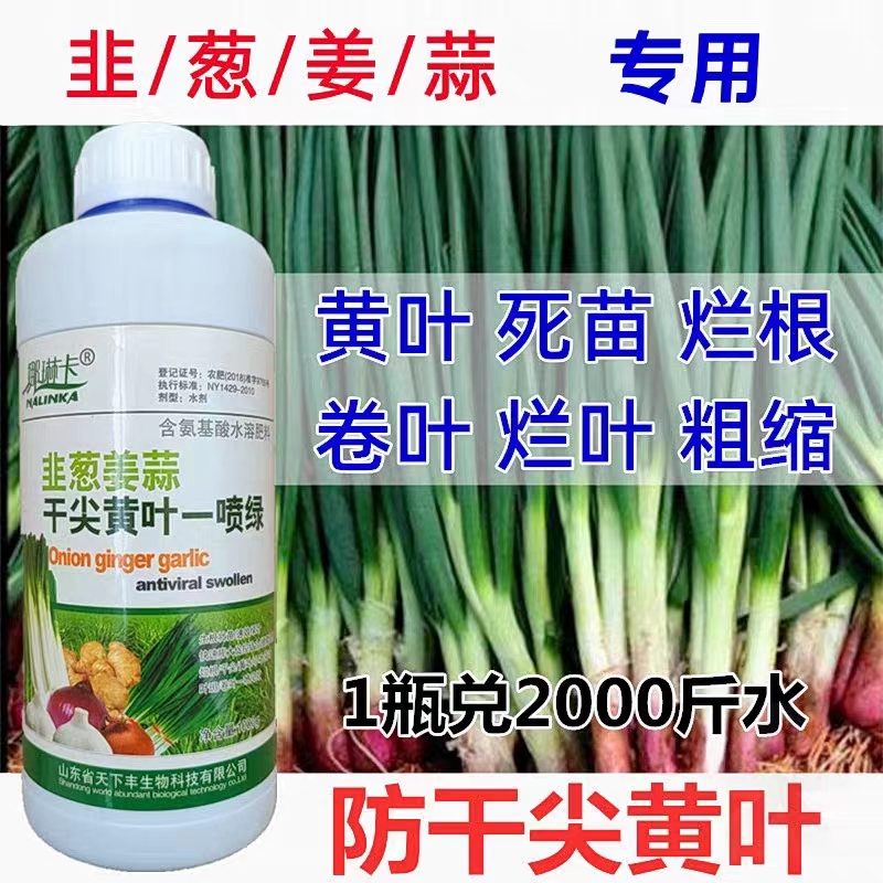 韭菜 大葱 姜大蒜大生根壮苗速绿叶快速膨大烂根/干尖/黄叶