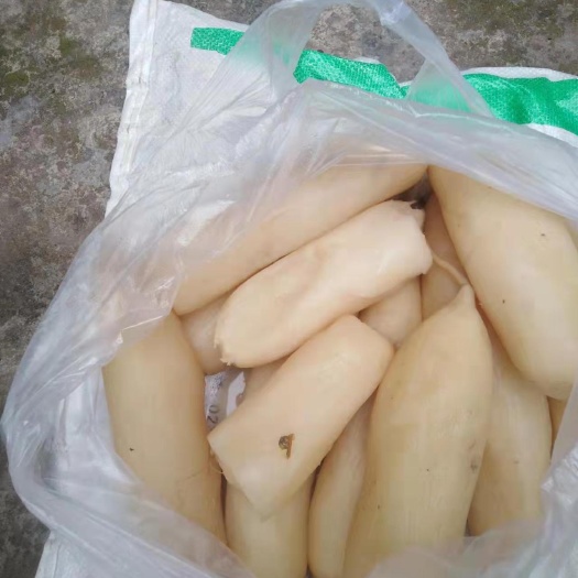 重庆市腌制萝卜