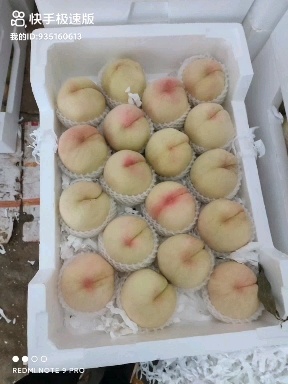 利辛县白凤桃