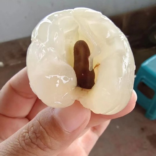 屏边县屏边妃子笑 正式上市 皮薄肉厚  香甜可口  有送朋友 送家