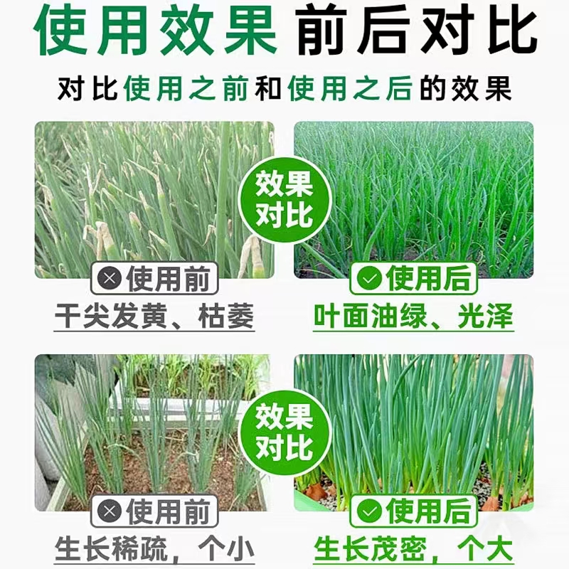 韭菜 大葱 姜大蒜大生根壮苗速绿叶快速膨大烂根/干尖/黄叶