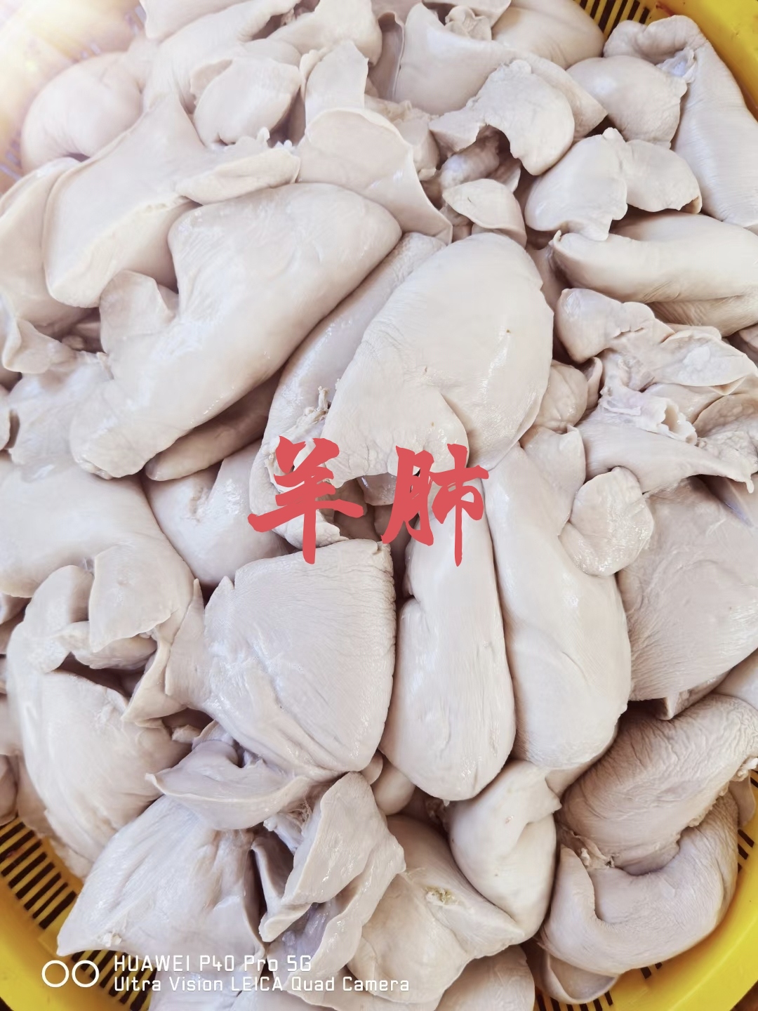 锡林浩特【羊肺】绵羊的半熟羊肺，活水穿无碱！照片实拍，量大优惠