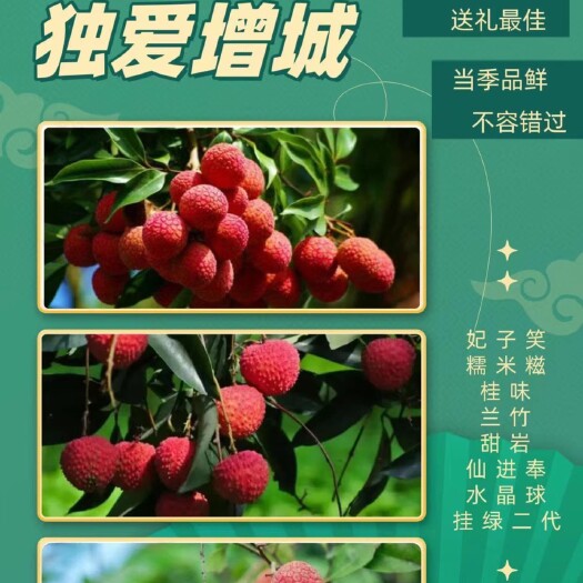 广州广东增城荔枝桂味基地