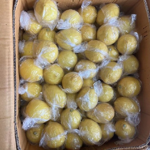 西安安岳黄柠檬一级果，货好价优