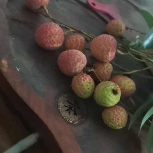 化州市妃子笑 桂味