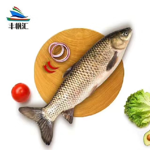 珠海调理草鱼开背腌制三去烤鱼系列终端烤鱼店连锁店