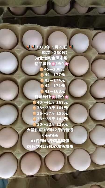 馆陶县大量供应30－41斤普通小码粉蛋
  41－45斤精品粉蛋
