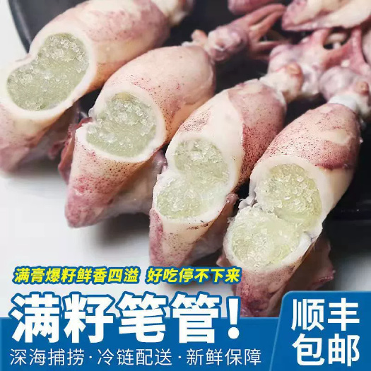海兔 满籽海兔商用全籽籽乌鲜活冷冻带籽笔管鱼乌贼批发零售包邮