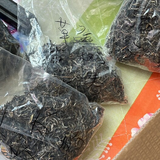 思茅茶