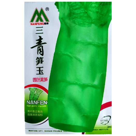 6月开始播种三青皮圆叶香莴笋种子耐寒皮薄青皮青肉莴苣秋冬季播