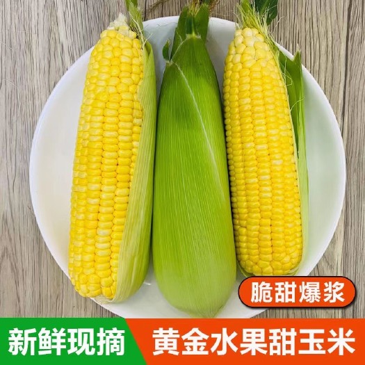 汉寿县【甜玉米】湖南甜玉米水果玉米
