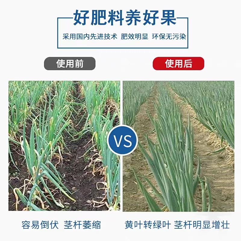 韭菜 大葱 姜大蒜大生根壮苗速绿叶快速膨大烂根/干尖/黄叶