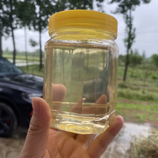 信阳急出给钱就卖绿色健康蜂蜜，自家蜂场自产自销，保真
