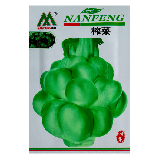 武汉榨菜种子儿菜榨菜叶用茎用芥菜种子疙瘩菜耐抽薹新鲜蔬菜种子