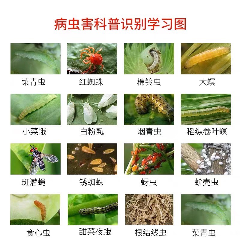 宝丰5%阿维菌素 正品 红蜘蛛 小菜蛾 稻纵卷叶螟杀虫剂