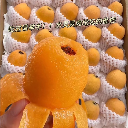 旬阳市大五星枇杷果