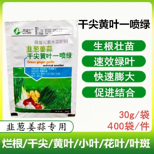 扶沟县韭菜 大葱 姜大蒜大生根壮苗速绿叶快速膨大烂根/干尖/黄叶