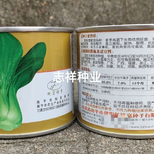 华容县晓富大阪夏力青梗菜种子上海青小青菜籽抗高温耐热耐寒四季种植