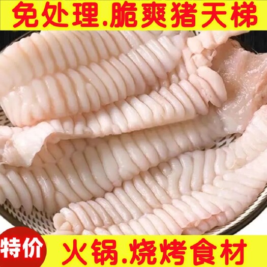 怀化猪天梯新鲜冷冻猪牙花猪牙板脆爽猪天板猪巧舌烧烤火锅食材包邮