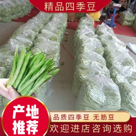 湖北优质高山四季豆