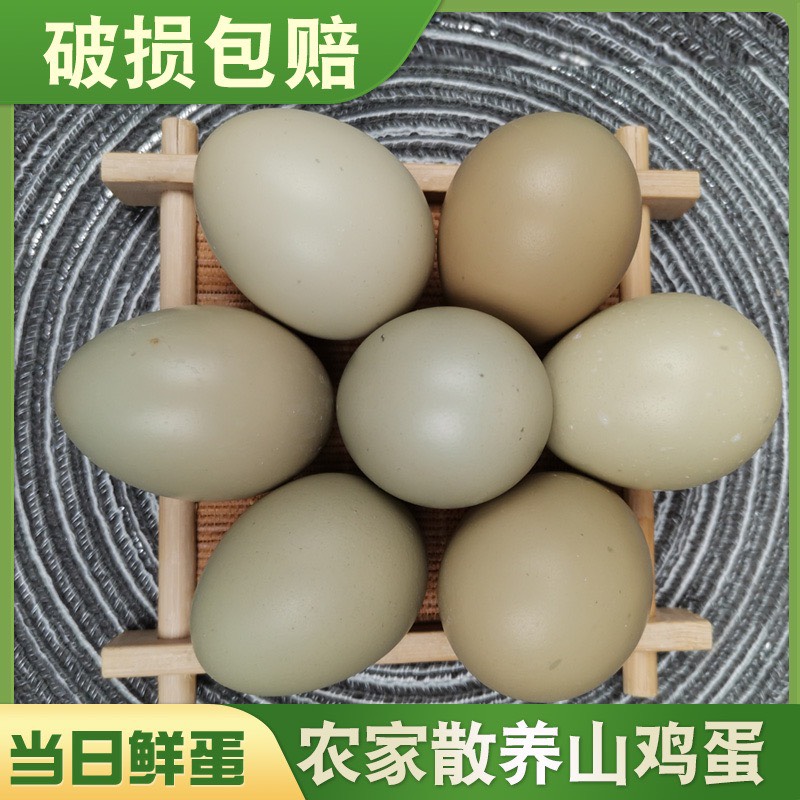 商河县养殖户直发七彩山鸡蛋！带检测报告，品质优先！客户至上！安全！