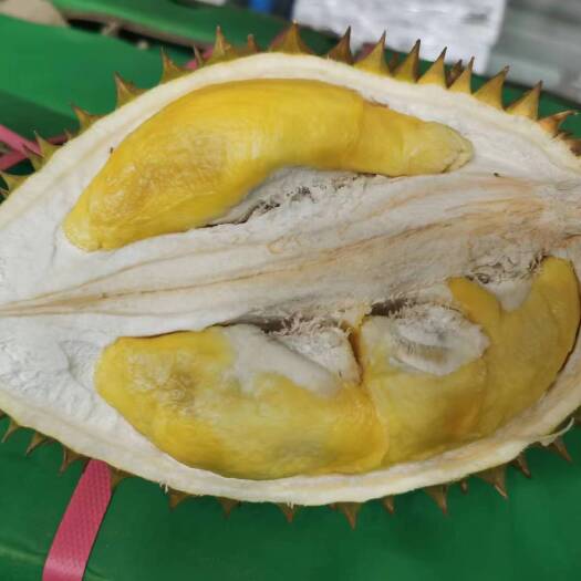 肥西县越南干尧，金枕，a品，出果率高
