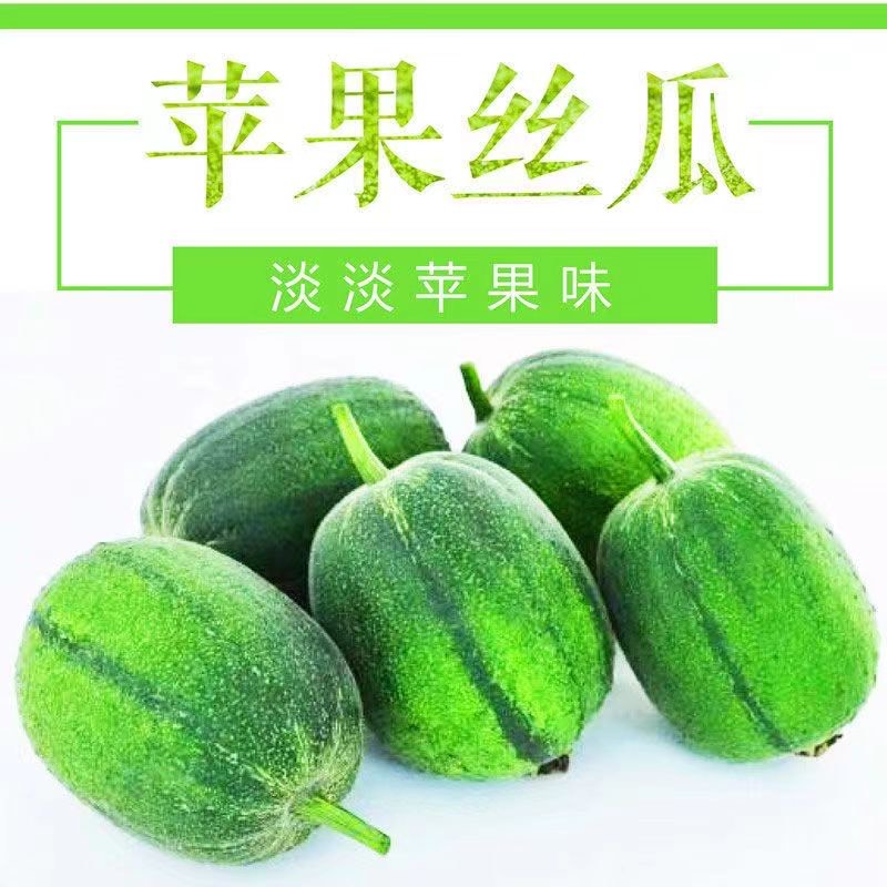蘋果絲瓜 菜瓜 白肉絲瓜