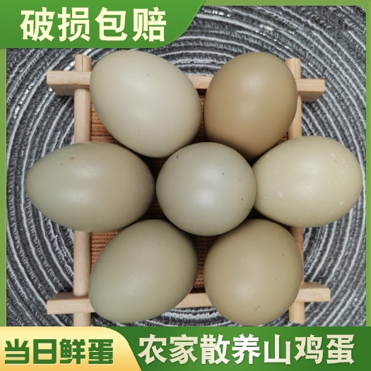 七彩山鸡蛋初生蛋，有检测报告资质齐全，可开发票！欢迎洽谈！！