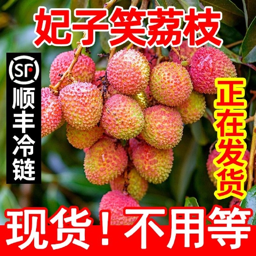 陵水县当季妃子笑荔枝新鲜现摘应季水果批发价整箱现货
