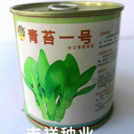 华容县金品青苔一号杂交青梗菜苔种子 叶片亮绿苔色绿 口感脆嫩品质好