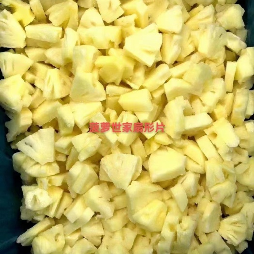 徐闻县速冻菠萝 全国代加工