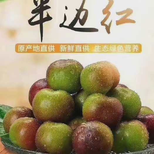 绥江县半边红李子脱骨李