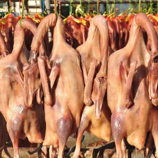 【热卖商品】溧阳咸鹅特产腌鹅农家腊鹅风干鹅安徽咸鹅腊鹅