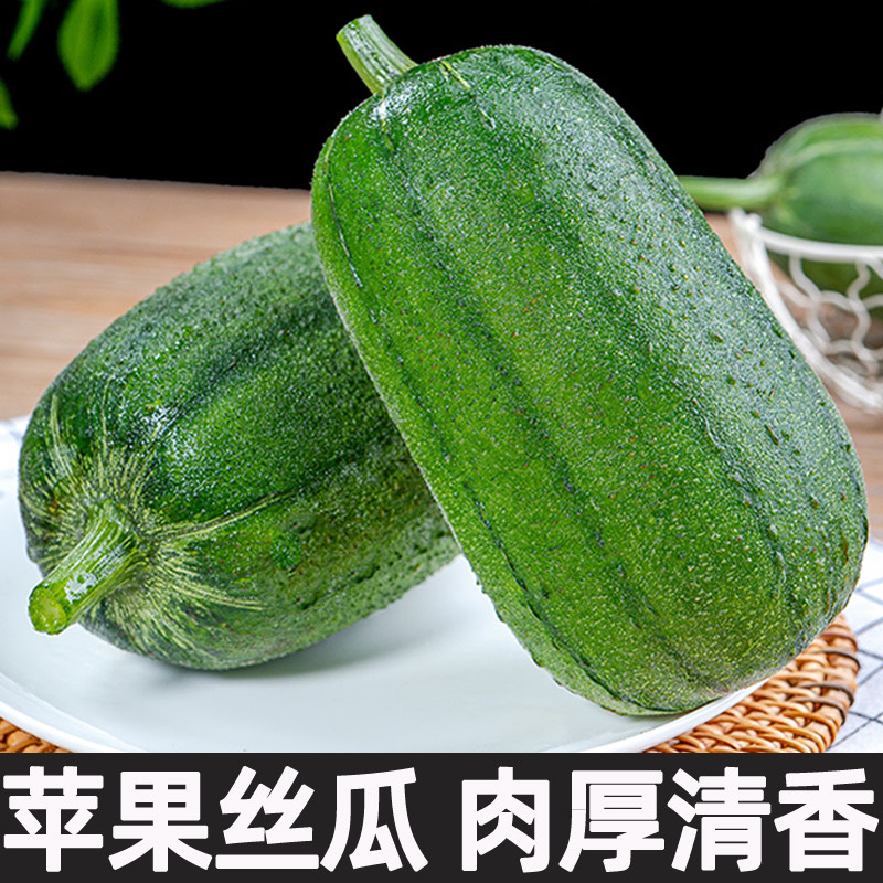 蘋果絲瓜 菜瓜 白肉絲瓜
