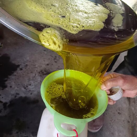正品菜籽油