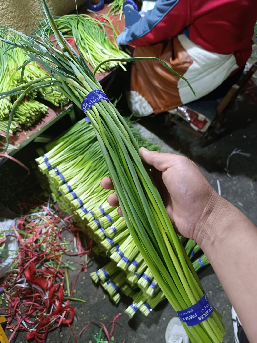 蒜苔，金乡蒜苔，一吨起批，一手货源，无任何费用