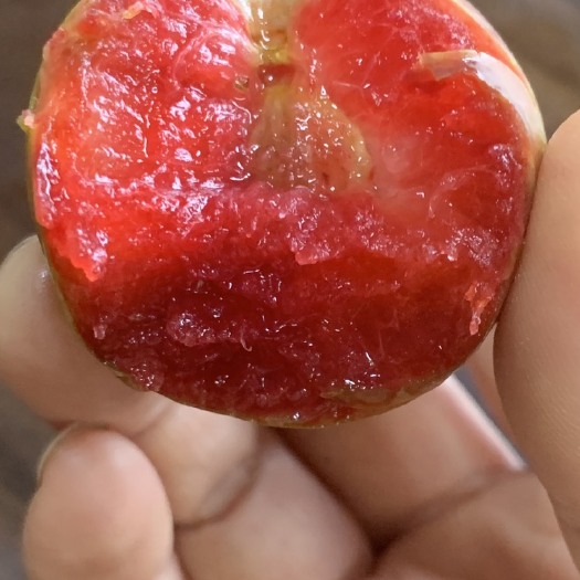 罗定市三华李