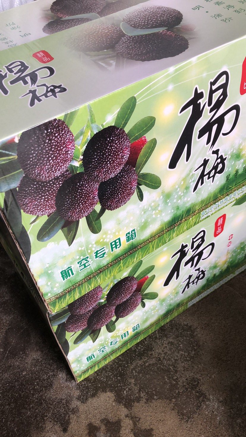 顺丰冷链 宁波产新鲜东魁杨梅浙江同仙居杨梅高山当季时令水果
