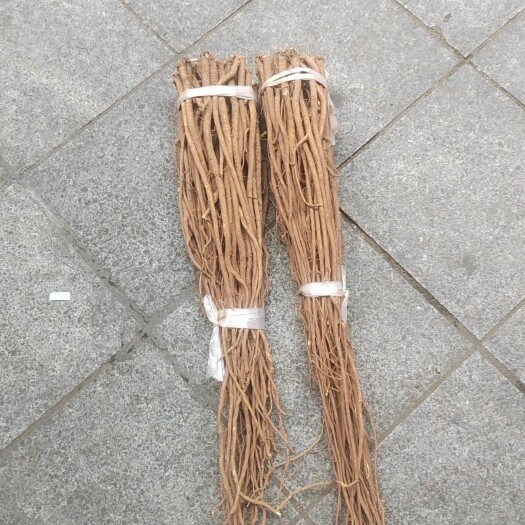 荔浦市小叶红皮千斤拔