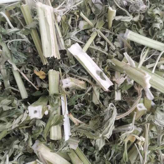 青岛湖北采摘新鲜益母草，切断晒干，价格优惠，多买多便宜，有意联系