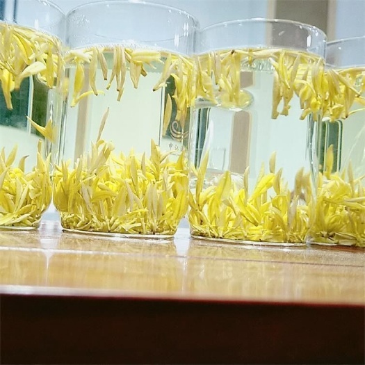 安龙县黄金奶白茶