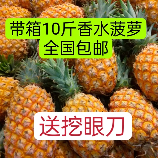 徐闻县香水大菠萝新鲜现摘9斤整装全国包邮